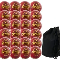 Readers Special School Cricket Ball - 24 Pack & Free Ball Bag