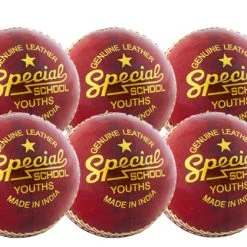 Readers Special School Cricket Ball - Six Pack