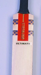 GRAY-NICOLLS Gray Nicolls Autograph Bat SH