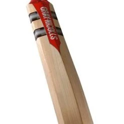 GRAY-NICOLLS Slimline Technique Cricket Bat