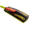 GRAY-NICOLLS Gray Nicolls Cloud Catcher Light Cricket Bat