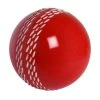 GRAY-NICOLLS Gray Nicolls Velocity Ball