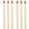 GRAY-NICOLLS Gray Nicolls Club Stumps Senior