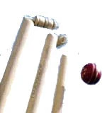 J S Wright English Ash County Stumps 28