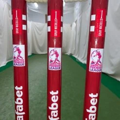 GRAY-NICOLLS Custom Printed Match Cricket Stumps With Heavy Rubber Base 12 GRAY-NICOLLS Custom Printed Match Cricket Stumps With Heavy Rubber Base -GRAY-NICOLLS Shop IMG 6835 scaled