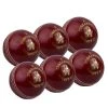 Kookaburra County Club Senior Red 6 Pack