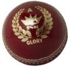 Martin Berrill Sports Glory Cricket Ball