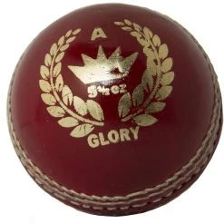 Martin Berrill Sports Glory Cricket Ball