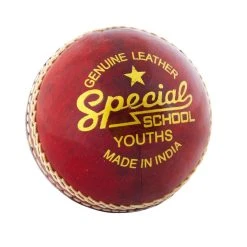 Readers Special Schools Cricket Ball