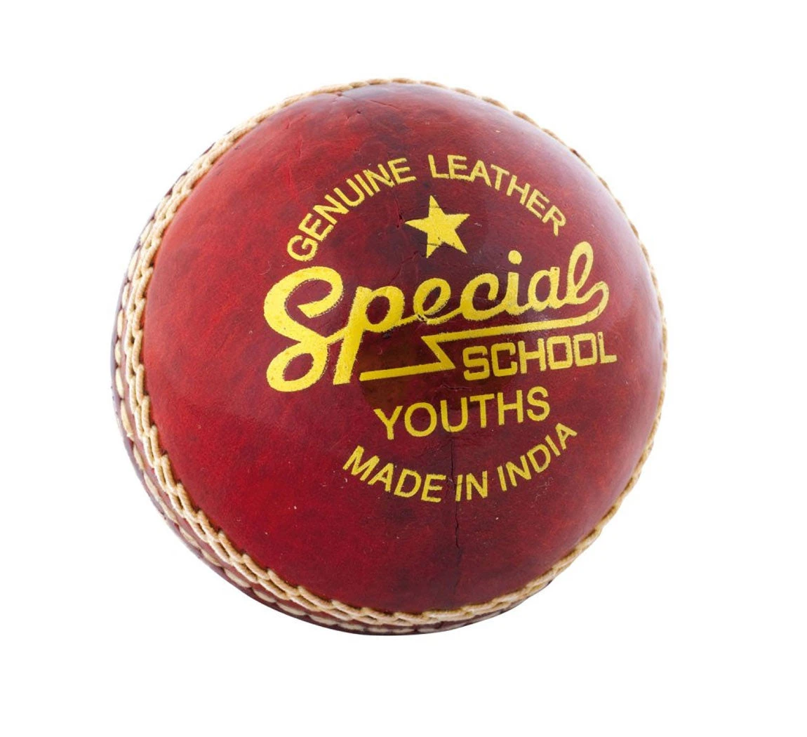Readers Special Schools Cricket Ball 1 Readers Special Schools Cricket Ball