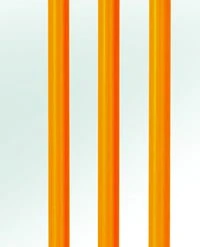 Hunts County Reflex Flexi Practice Stumps