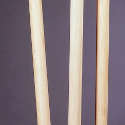 GRAY-NICOLLS Gray Nicolls Senior Spring Return Stumps