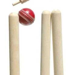 J S Wright English Ash County Stumps 27