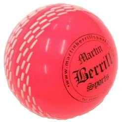 Martin Berrill Sports Skill Ball Set -GRAY-NICOLLS Shop storm 20ball scaled